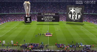 CIES列2021年来转会盈利榜：法鹰2.86亿欧居首，布莱顿第二